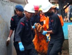 Di Tengah Rintik Hujan, 5 Korban Gempa Cianjur Dievakuasi