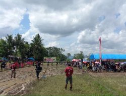 Caile Race Seri 2 Balap Motor Ojek Gabah di Sirkuit Persawahan Sangiasseri Digelar