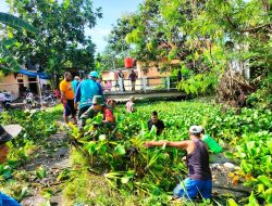 Antisipasi Terjadinya Banjir, Warga Pasarbatang Bersihkan Eceng Gondok di Saluran Air