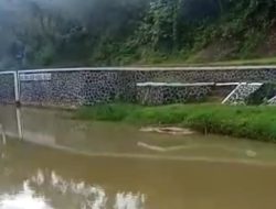 Kondisi Irigasi di Desa Cipalabuh Lebak Dikeluhkan Petani