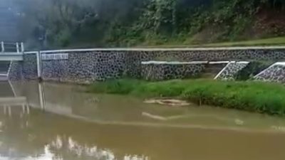 Kondisi Irigasi di Desa Cipalabuh Lebak Dikeluhkan Petani