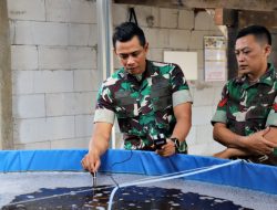 Dukung Ketahanan Pangan, Kodim 0603/Lebak Lakukan Budidaya Ikan Nila