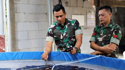 Dukung Ketahanan Pangan, Kodim 0603/Lebak Lakukan Budidaya Ikan Nila