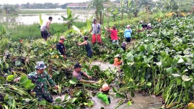 Cegah Banjir, Warga Desa Wonowoso Bersihkan Sungai Irigasi