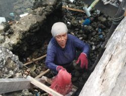Menengok Ketegaran Nelayan Perempuan Asal Sinjai Menyambung Hidupnya, Berharap Lirikan Pemerintah