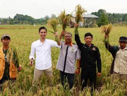 Jubir Gerindra: Pak Prabowo Jadi Pilihan Karena Komitmen dan Kinerjanya Dirasakan Oleh Masyarakat