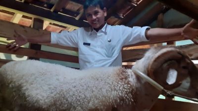 Dalam Kurun Waktu 5 Tahun, Ini Potensi Peternakan yang Telah Dikembangkan DPKH Brebes