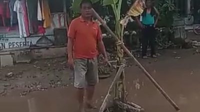 Kecewa Jalan Rusak, Warga Desa Siwuluh Gelar Aksi Tanam Pohon Pisang