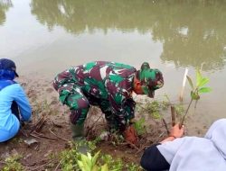 Bersama Masyarakat dan Mahasiswa, Babinsa Wonosari Tanam Mangrove