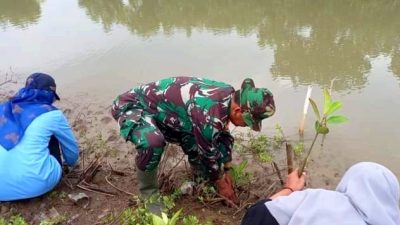 Bersama Masyarakat dan Mahasiswa, Babinsa Wonosari Tanam Mangrove