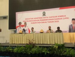 Pemda Sinjai Gelar Asistensi Data Capaian Kinerja Penyelengaraan Pemerintahan Daerah 2022