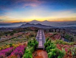 Silancur Highland, Tawarkan Panorama Pegunungan yang Memesona