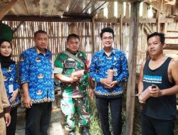 TMMD Sengkuyung, Kodim Brebes Gandeng DPKH Untuk Berikan Pengobatan Massal pada Ternak Sapi