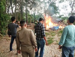Aparat Gabungan Bongkar dan Bakar Arena Judi Sabung Ayam di Bulakamba