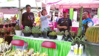 Lima Tahun Sonni Tekuni Budidaya Kaktus dan Aglonema