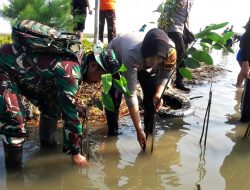 Bersama DPD Muhammadiyah Kendal, Polsek Patebon Tanam Mangrove di Pantai Pidodo Kulon