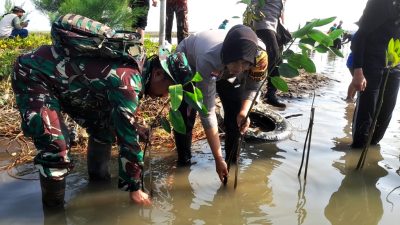 Bersama DPD Muhammadiyah Kendal, Polsek Patebon Tanam Mangrove di Pantai Pidodo Kulon