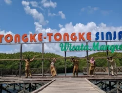 Mangrove Tongke-Tongke Ikon Primadona Wisata Terpopuler di Sinjai