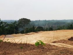 Pembangunan Kandang Ayam di Sangiang Tanjung Disorot, Begini Tanggapan Pelaksana