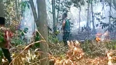 Sigap, Dandema Batalyon Brigif Mekanis 14/MY Bantu Padamkan Api di Desa Parungsari