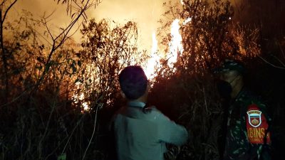 Aksi Tanggap Polsek Srumbung dan Petugas Gabungan Padamkan Kobaran Api di Kawasan TNGM