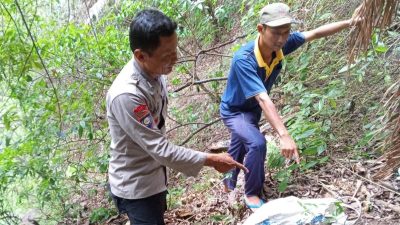 Hilang Satu Bulan, Warga Nyatnyono Ditemukan Meninggal di Hutan Gunung Ungaran