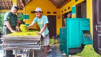 Komsos Dengan Petani, Babinsa Polbayem Bahas Harga Tembakau Jelang Musim Hujan
