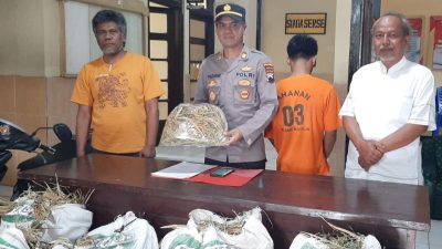 Seorang Residivis Pencuri Padi Diamankan Polsek Muntilan