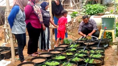 Atasi Dampak El Nino, KWT Desa Gunungsari Terapkan Sistem Irigasi Tetes