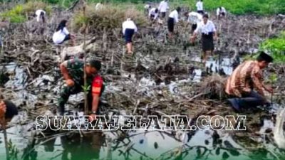 Jaga Kualitas Lingkungan, Babinsa Koramil 1501-03/Jailolo Tanam Mangrove
