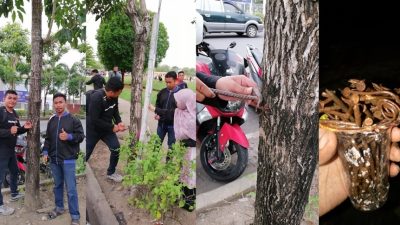 Peringati Hari Bumi, BBI Lakukan Gerakan Cabut Paku