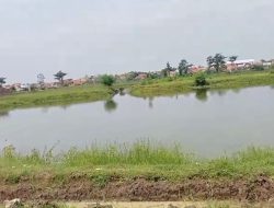 Telan Korban Jiwa, Ini Penjelasan Kadus Bangsri Soal Fungsi Kubangan Air Milik PT Charoen Pok Phand Jaya Farm 