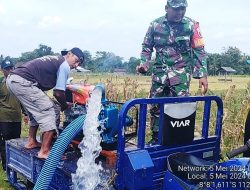 Babinsa Koramil 0808/16 Talun Lakukan Pendampingan Program Pompanisasi
