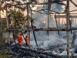 Diduga Korsleting Listrik, Sebuah Kandang Ayam di Ambarawa Terbakar