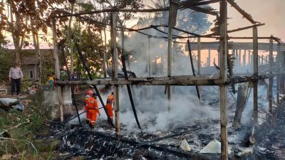 Diduga Korsleting Listrik, Sebuah Kandang Ayam di Ambarawa Terbakar