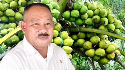 Dukung Ekonomi Kreatif Halut, Cabup Anton Piga Bakal Lakukan Ini