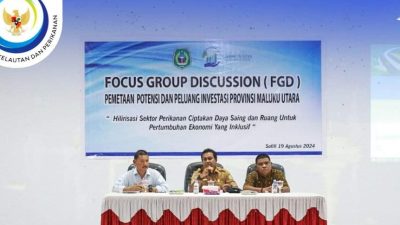 Dinas PTSP Malut Gelar FGD Bahas Peluang Investasi