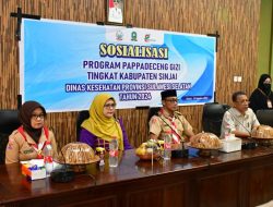 Cegah Stunting, Dinkes Sinjai Sosialisasikan Program “Pappadeceng Gizi”