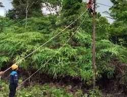PLN Sinabang Perbaiki Kabel Listrik, Warga di Dusun Titiolor Apresiasi Terhadap Kerja Keras Pihak PLN Simeulue