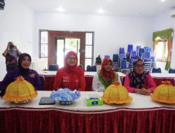 TP-PKK Sinjai Ikut Webinar Kesehatan Anak, Peringati HAN dan PIN Polio Tingkat Sulsel