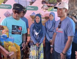 Pj Gubernur Sulsel Kunjungi Stand Sinjai di Harkopnas Selayar
