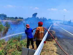 Gerak Cepat Tim Damkar Brebes Atasi Kebakaran Lahan di Ruas Tol Pejagan-Pemalang