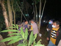Warga Tonjong Digemparkan dengan Penemuan Sesosok Mayat Tergantung di Pohon Mahoni