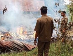 Terjadi Kebakaran di Sinjai, Kasat Pol PP dan Damkar Imbau Warga Selalu Waspada