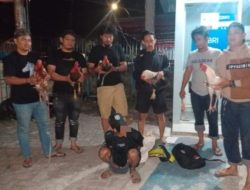 Sempat Kabur, Kronologi Pelaku Judi Sabung Ayam di Sinjai Borong Ditangkap Resmob