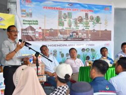 Pj Bupati Sinjai Buka Sosialisasi Kemitraan Produk Komoditi Jagung, Ini Harapannya