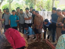 Pelatihan Pembuatan Pupuk Organik Gunakan Metode Kascing