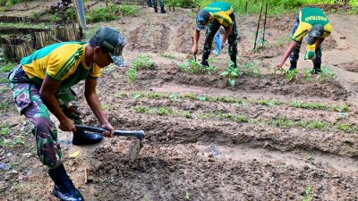 Satgas Pamtas Yonarmed 11 Kostrad Manfaatkan Lahan Kosong untuk Pertanian