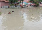 Bocah Berusia 14 Tahun Tenggelam di Sungai Sigeleng, Warga dan Tim SAR Brebes Cari Korban