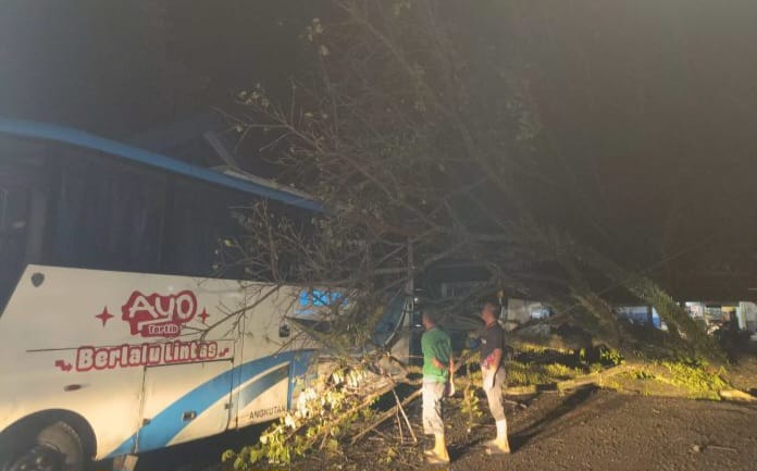 Damri